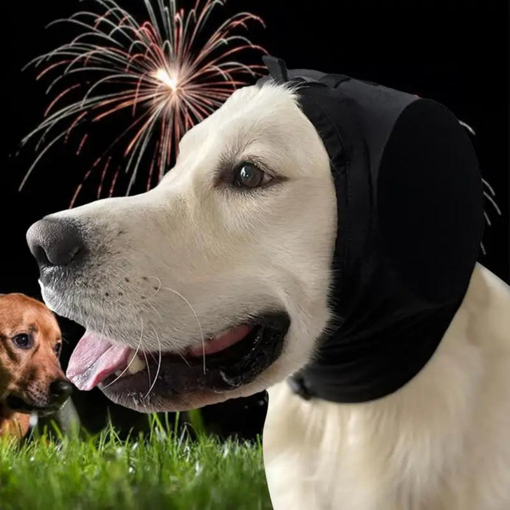 Ohrenschützer für Hunde zur Geräuschreduzierung