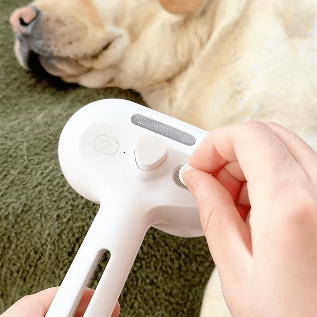 BrushPaw Dampfbürste für Hunde