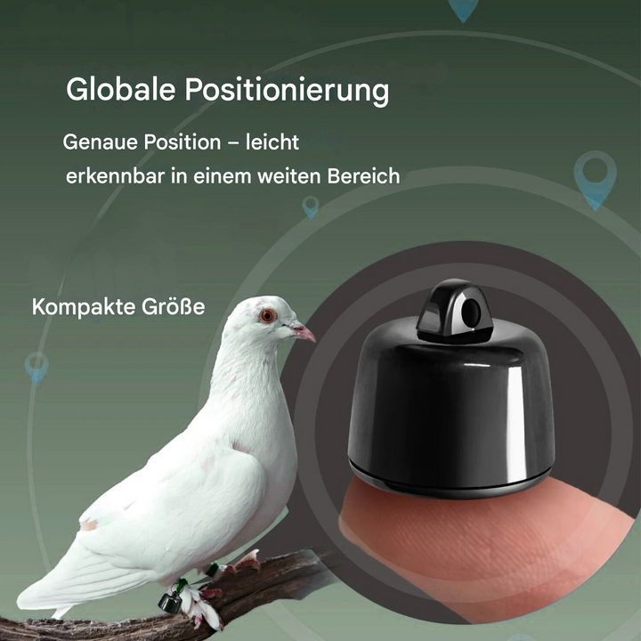 SmartPet Tracker Mini GPS-Haustierortung