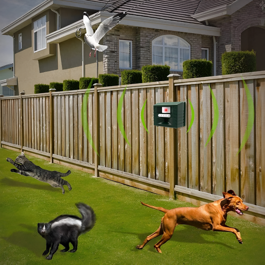 Ultraschall-Spechtabwehr zur effektiven Vogelabwehr