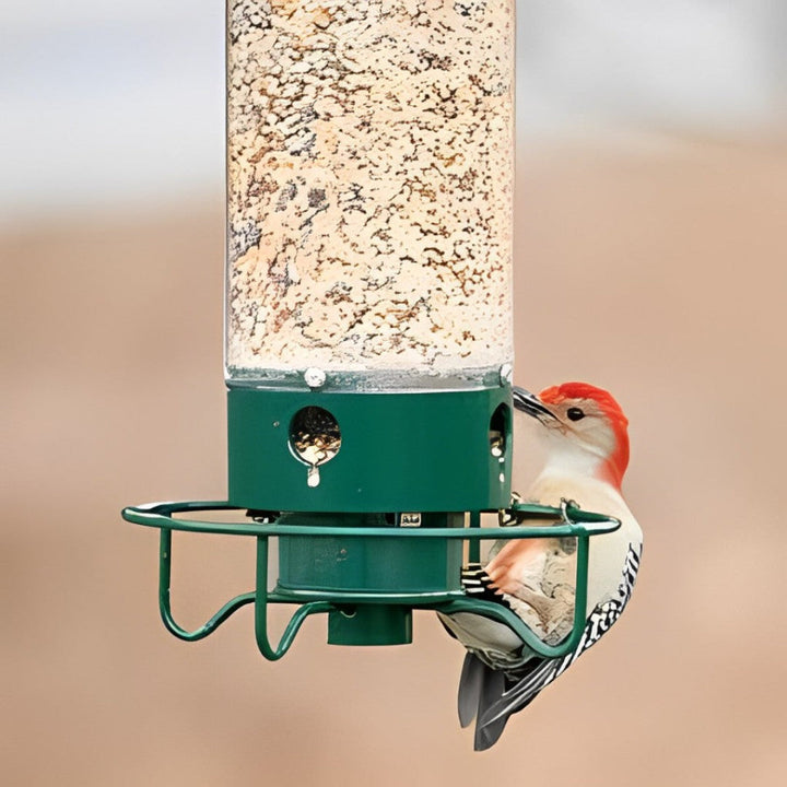 Eichhörnchensicherer Vogelfutterspender