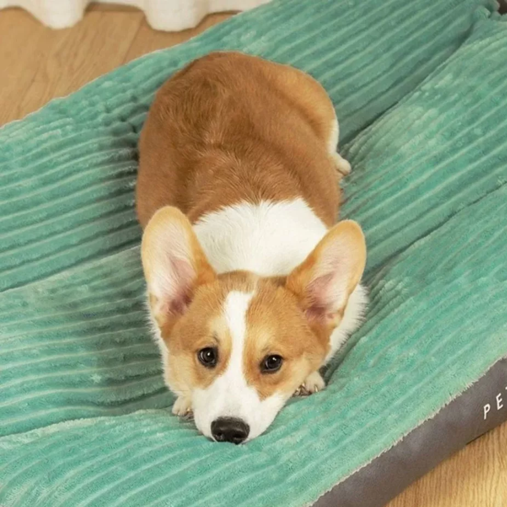 Hundekissen zum Ausruhen und Entspannen