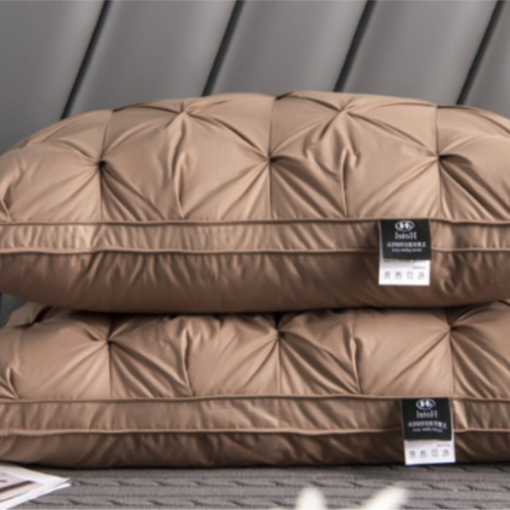 Luxuriöses Gänsedaunenkissen