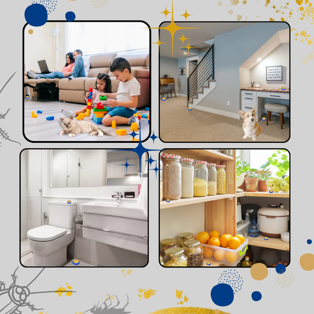 Geruchlose Kakerlakenfallen – Diskrete Lösung zur Schädlingsbekämpfung