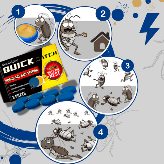 Geruchlose Kakerlakenfallen – Diskrete Lösung zur Schädlingsbekämpfung