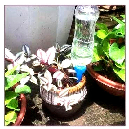 Automatische Pflanzenbewässerungsspießchen (12er-Pack)