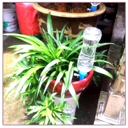 Automatische Pflanzenbewässerungsspießchen (12er-Pack)