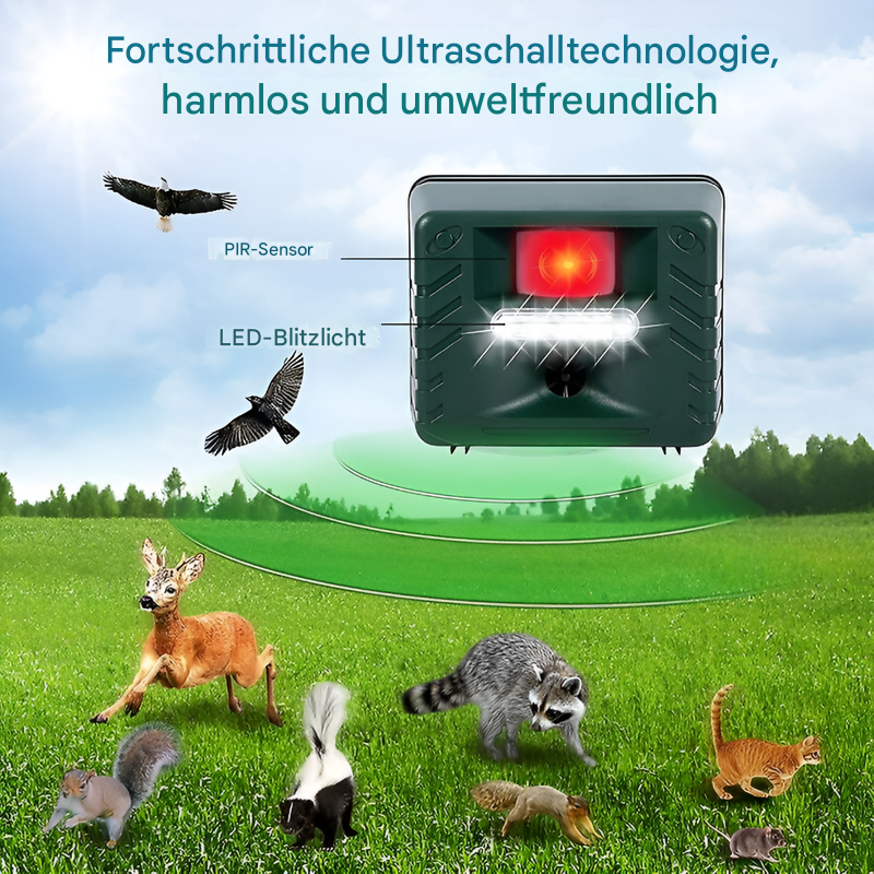 Ultraschall-Spechtabwehr zur effektiven Vogelabwehr