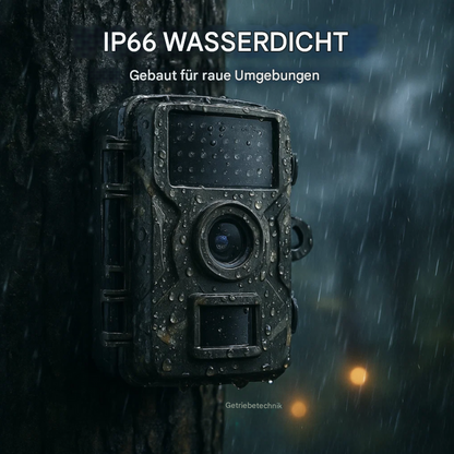 Nattkamera for dyreliv