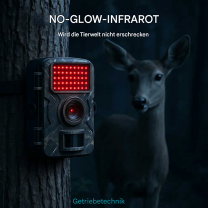 Nattkamera for dyreliv